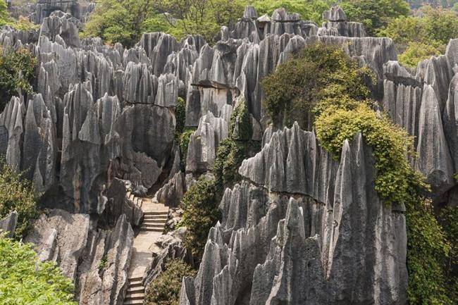 جنگل شیلین ، جنگلی با درختانی از سنگ (Stone Forest)