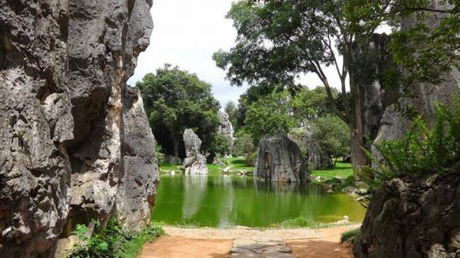 جنگل شیلین ، جنگلی با درختانی از سنگ (Stone Forest)