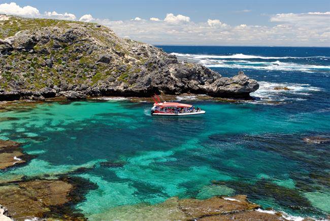 جزیره بسیار زیبای رات نست Rottnest Island