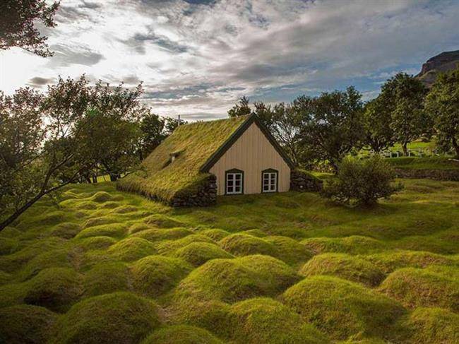 green-grass-roof