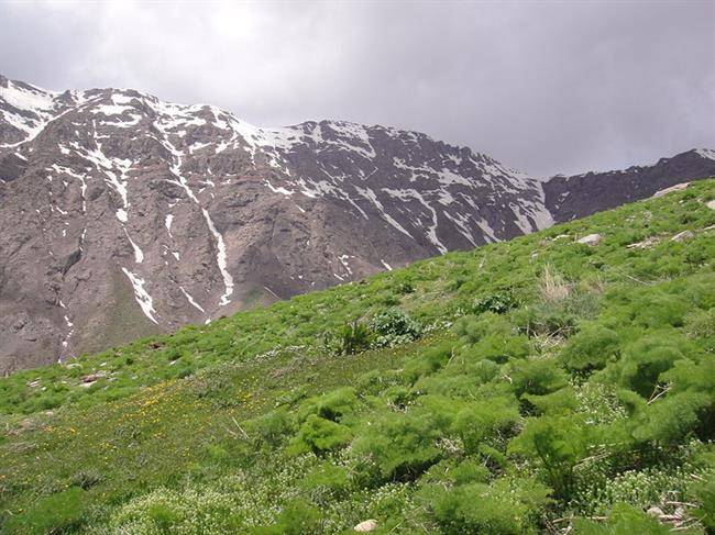 روستای طالقان کرج