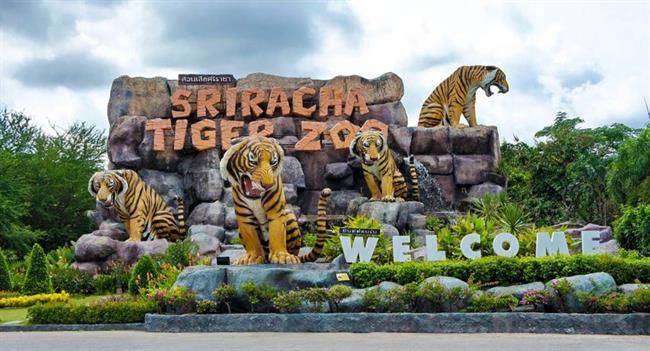 باغ وحش تایلند