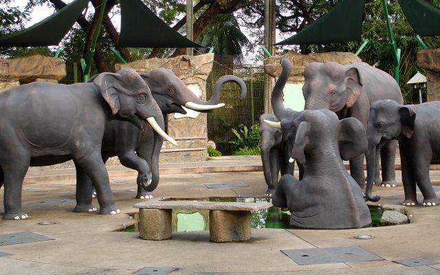 باغ فیل ها