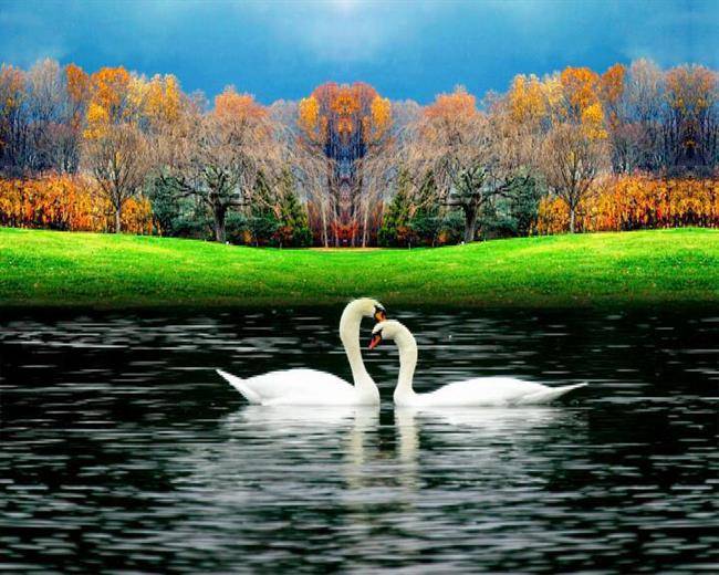 10 تا از زیباترین باغ ها و فضاهای سبز دنیا