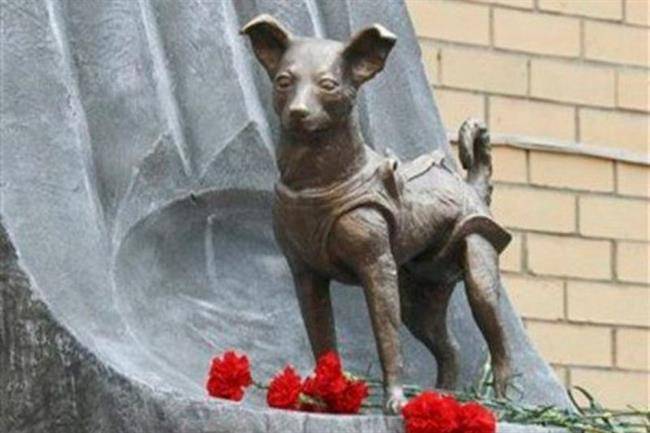 مجسمه ی سگ