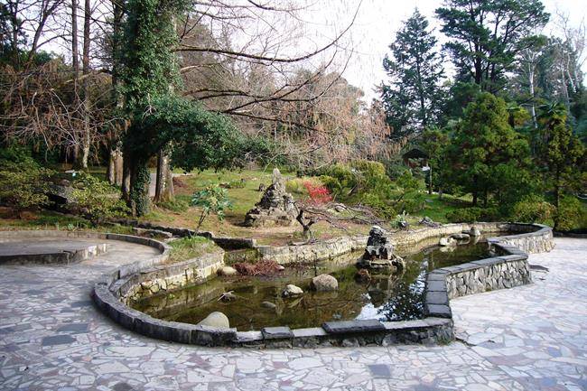 باغ گیاه شناسی سوچی The Sochi Arboretum