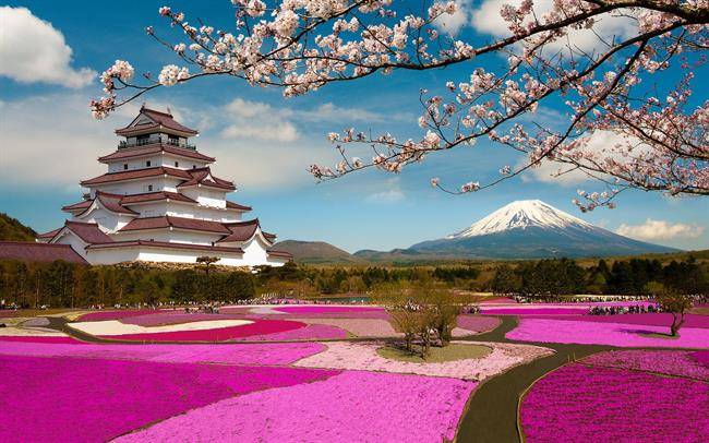 کوه باشکوه فوجی Mount Fuji