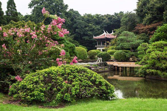 باغ ملی Shinjuku Gyoen National Garden