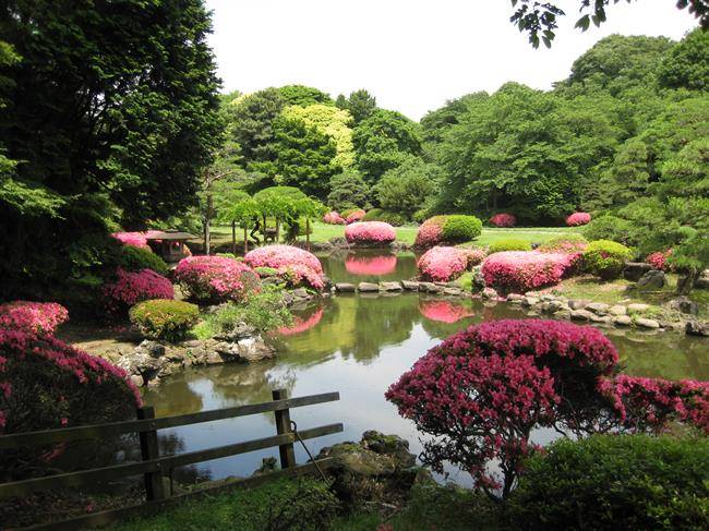 باغ ملی Shinjuku Gyoen National Garden