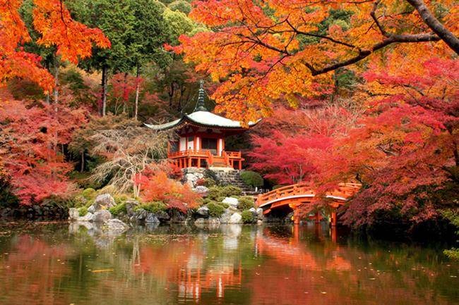 معبد دایگو- جی (Daigo-ji) در کیوتو