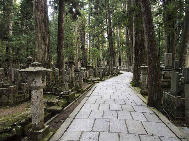 با بزرگترین قبرستان ژاپن یعنی اوکونوئین آشنا شوید