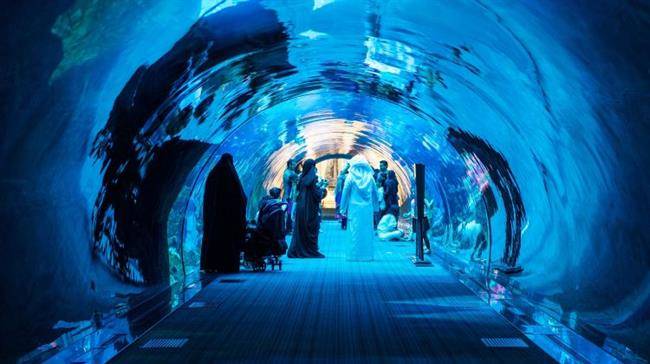  Dubai Aquarium