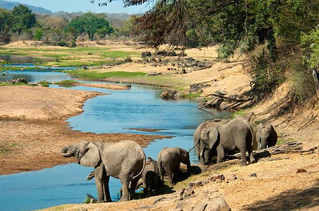  پارک ملی روها (Ruaha)