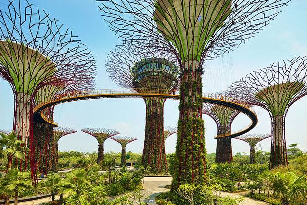  باغهای نزدیک خلیج (Gardens by the Bay)