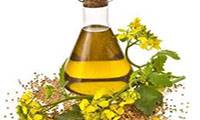 کالریهای موجود در روغن کانولا