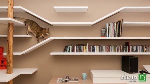 طراحی داخلی متناسب با گربه های خانگی