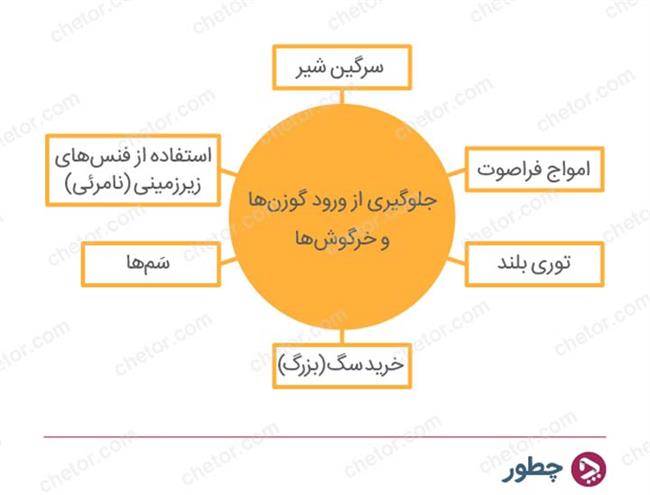 خلاقیت در تصمیم گیری - مثال جلوگیری از ورود خرگوش ها