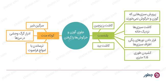 خلاقیت در تصمیم گیری