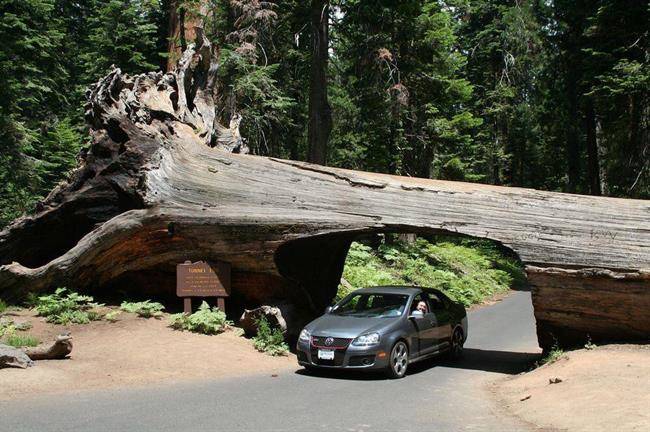 تونل لاگ Tunnel Log1