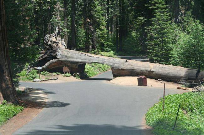 تونل لاگ Tunnel Log2