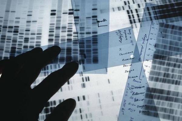 گوگل تشخیص ریشه بیماری ها از طریق DNA را ساده تر می کند
