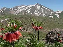 30 در صد مساحت ایران کوهستانی است