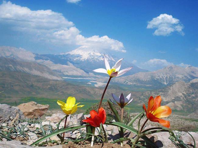 30 در صد مساحت ایران کوهستانی است