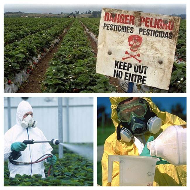 pesticides