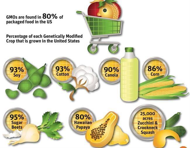 7-gmos-percentages-monsanto1_0