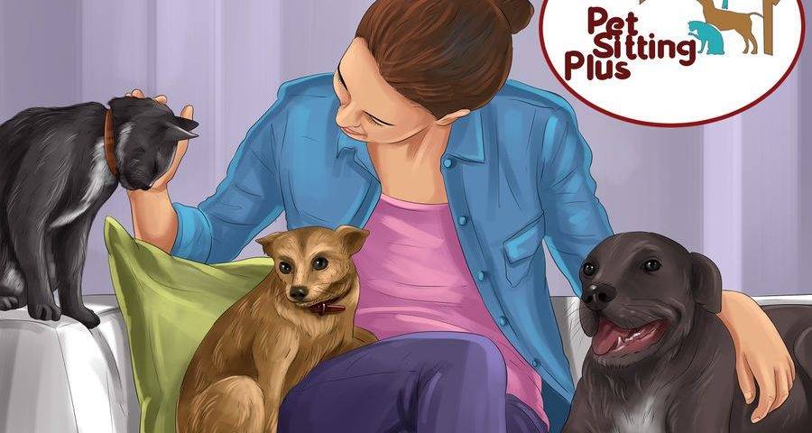 تنها گذاشتن حیوانات خانگی در زمان تعطیلات و مسافرت در منزل