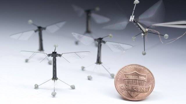 ساخت ربات‌هایی که مثل حشرات رفتار می‌کنند