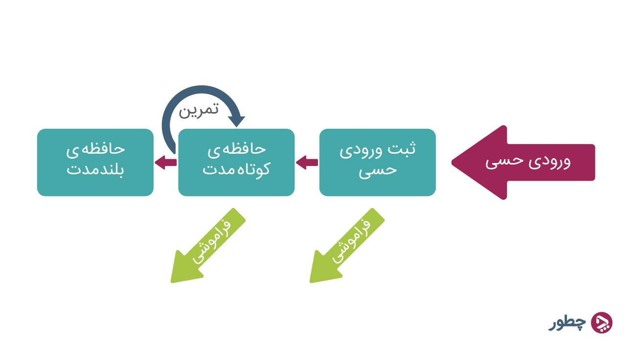 چند روش ساده برای تقویت حافظه کوتاه مدت