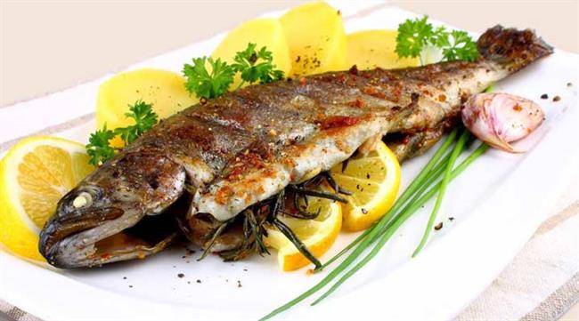 ماهی غذایی سرشار از امگا 3