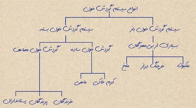 یادداشت‌برداری با رسم نمودار درختی