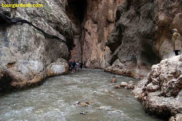 طبیعت گردی با تورگردش