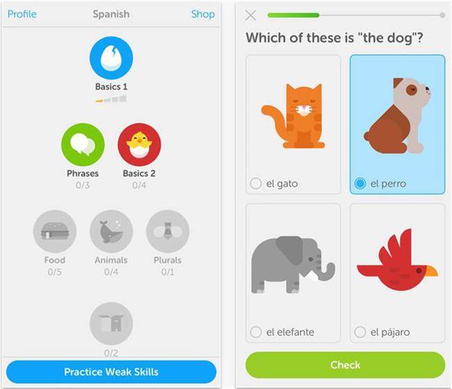 اپلیکیشن Duolingo