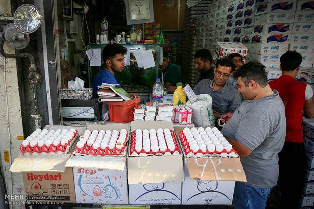 واردات 20 هزار تن تخم مرغ برای تنظیم بازار