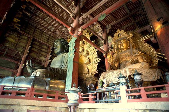بودای بزرگ نارا Nara