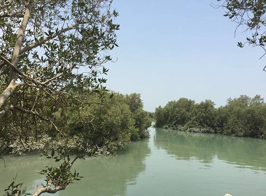 گردشگری با طعم برف و یخ