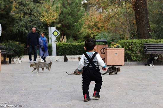 پارک قیطریه تهران ؛ از بوستان های برتر شمال پایتخت