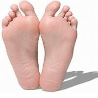 صافی کف پا، یک منشا اصلی اختلالات پا ضربدری و پا پرانتزی