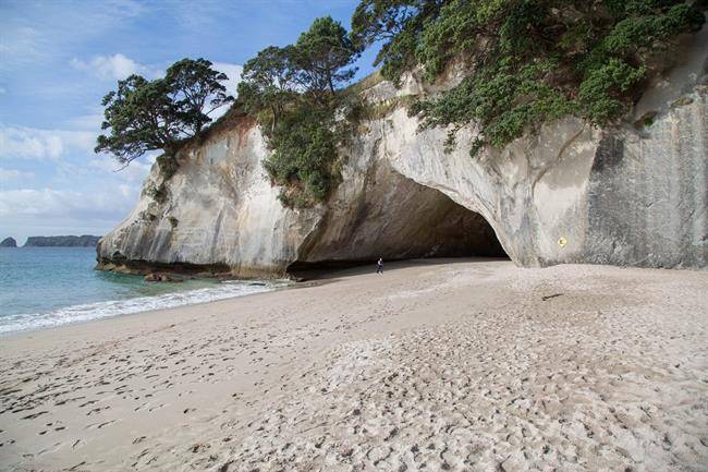 شبه جزیره کورومندل Coromandel Peninsula، جزیره شمالی