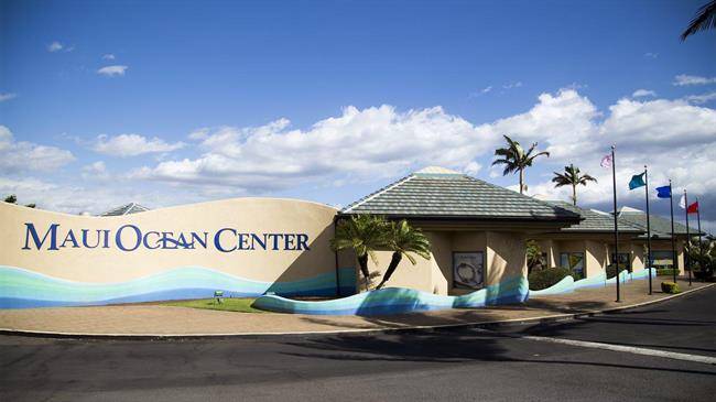 مرکز اقیانوسی مائوئی Maui Ocean Center