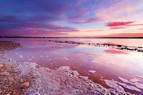 Las Salinas de Torrevieja