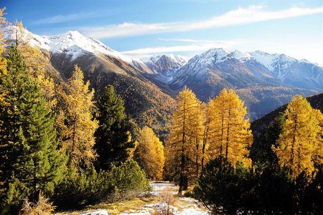 پارک ملی سوییس Swiss National Park