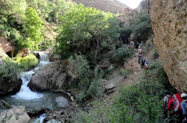 روستای امامه