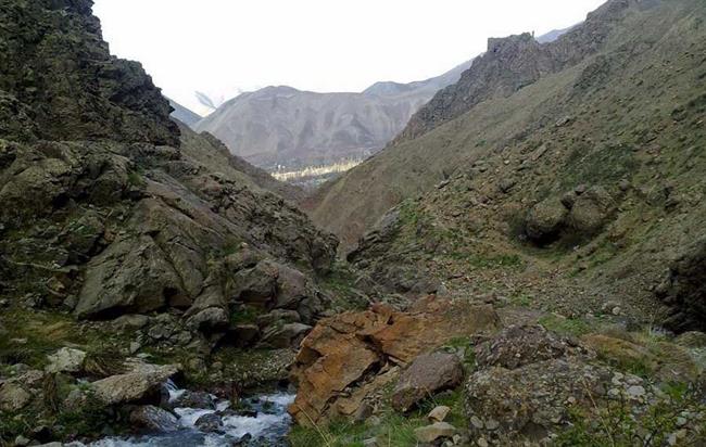 روستای امامه