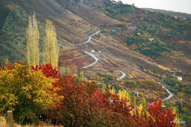 روستای امامه