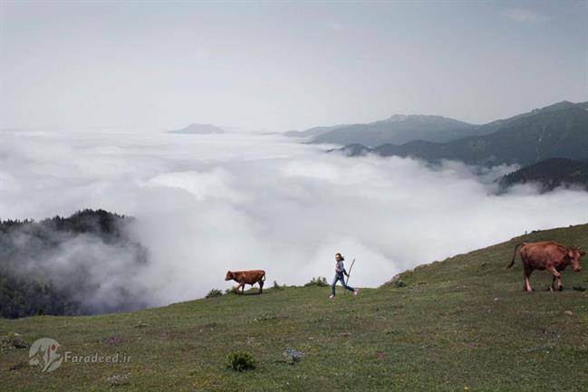 زندگی دختربچه‌هایی که عروس می‌شوند