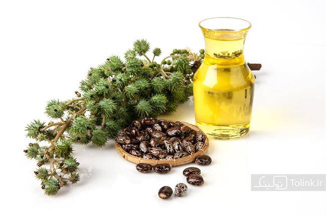 روغن های گیاهی